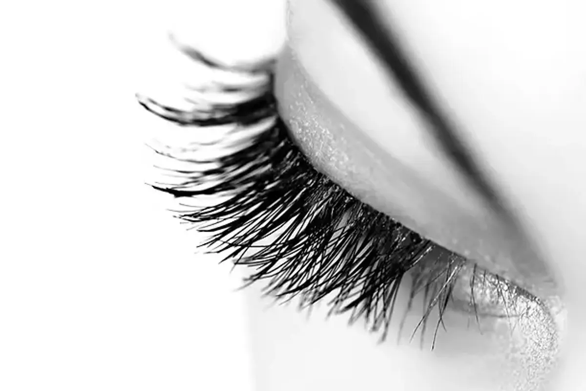 LASHES